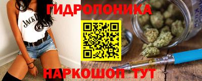 прущие грибы Славгород