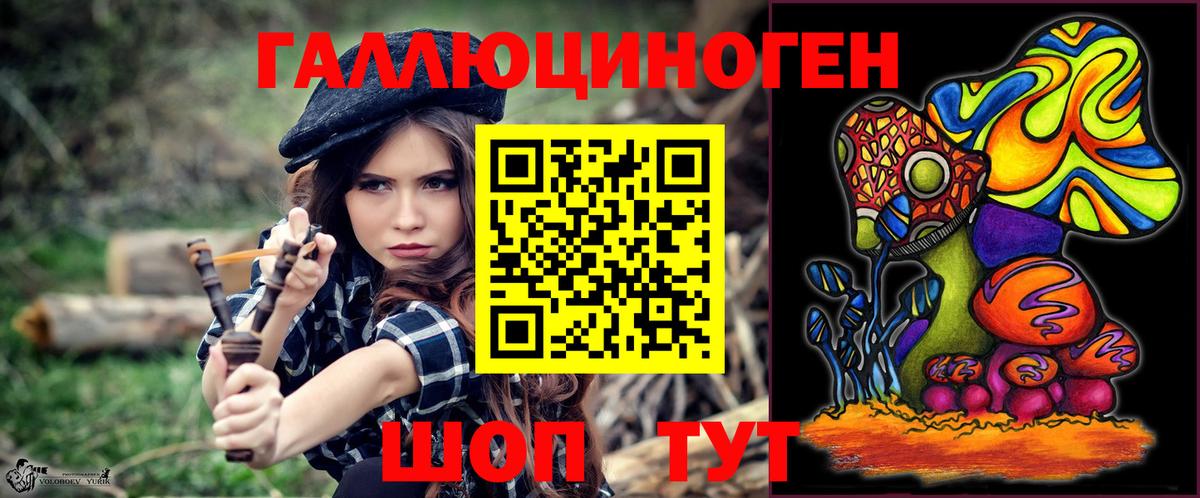 где найти   Псилоцибиновые грибы GOLDEN TEACHER  Вход с VPN  Нерюнгри 